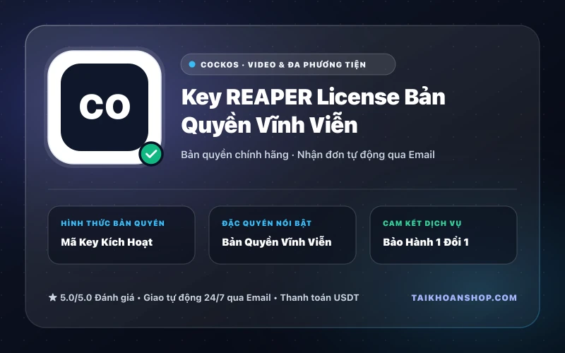 Key REAPER License Bản Quyền Vĩnh Viễn