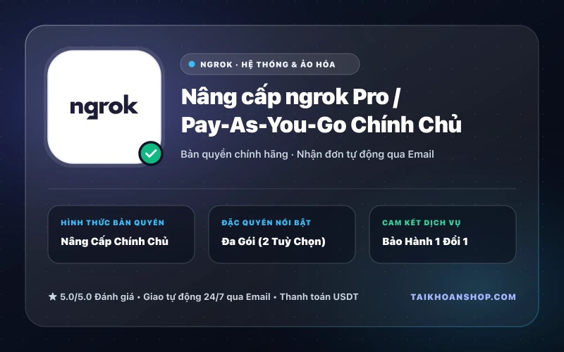 Nâng cấp ngrok Pro / Pay-As-You-Go Chính Chủ