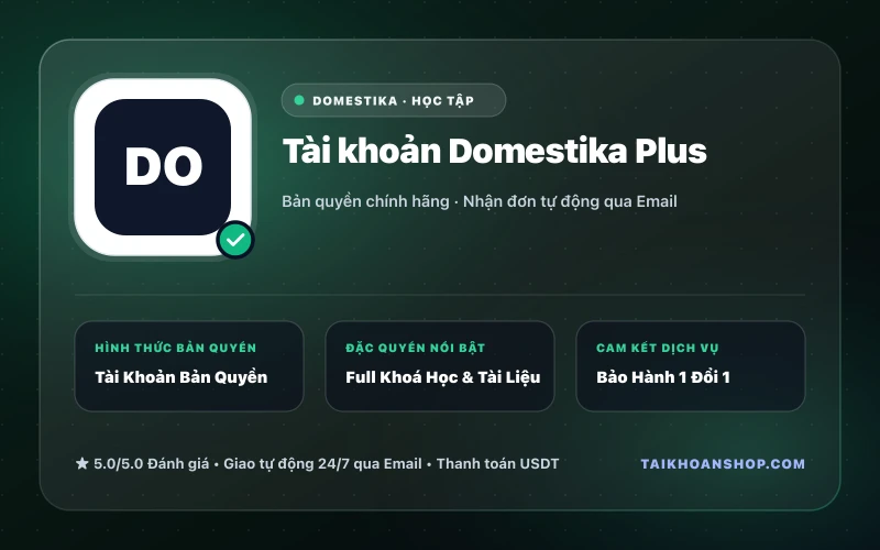 Tài khoản Domestika Plus